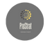 ProStrat Project Solutions Logo